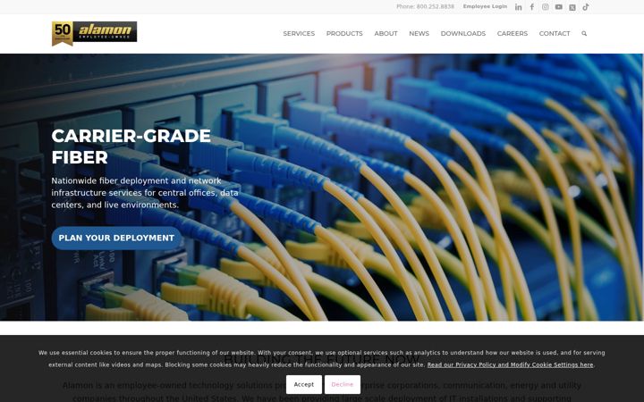 Screenshot of alamon.com