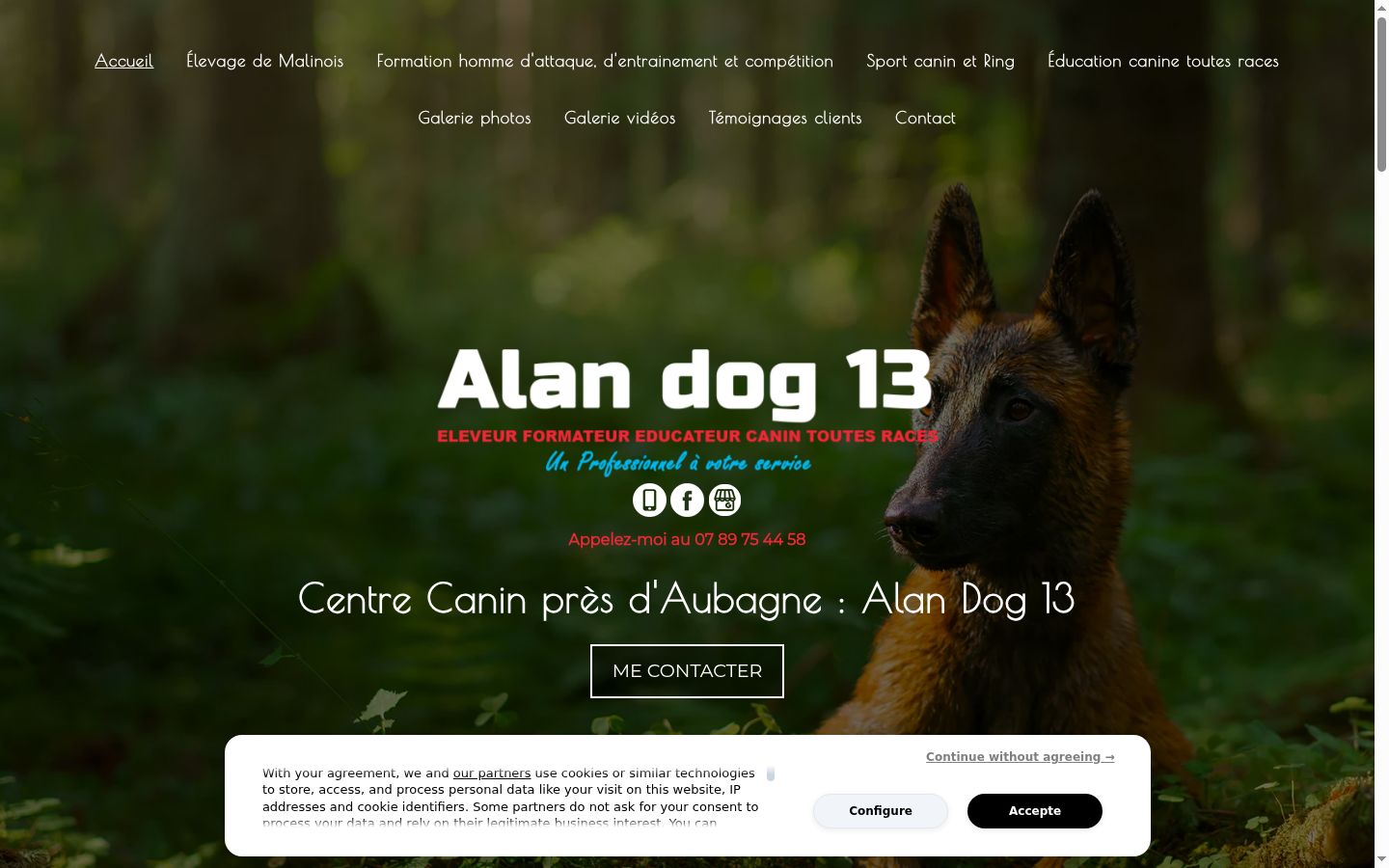 Screenshot of the consent banner shown before any interaction