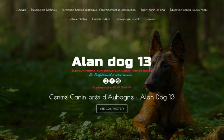 Screenshot of alan-dog-13.fr