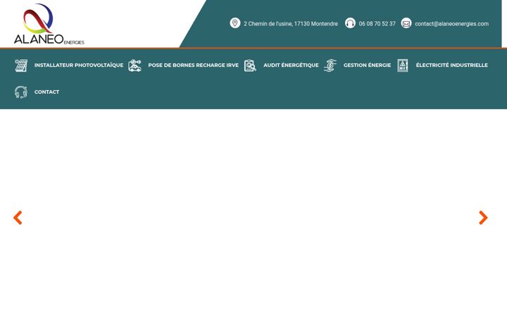 Screenshot of alaneoenergies.com