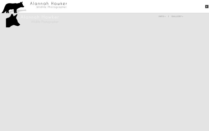 Screenshot of alannahhawker.com