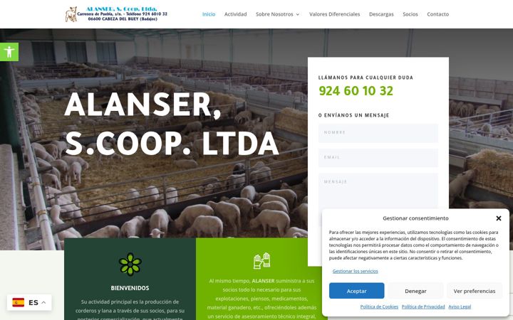 Screenshot of alanser.eu