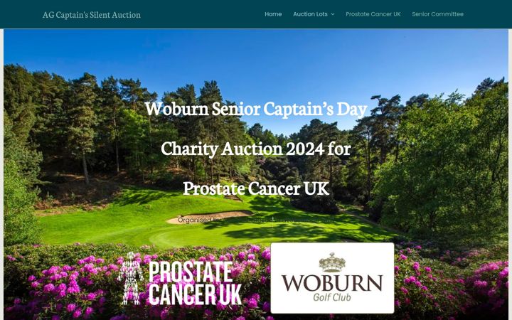 Screenshot of alasdairgibsonseniorcaptainsilentauction.com