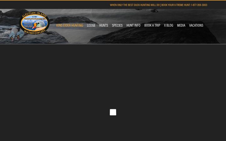 Screenshot stránky alaskaduckhuntingguides.com