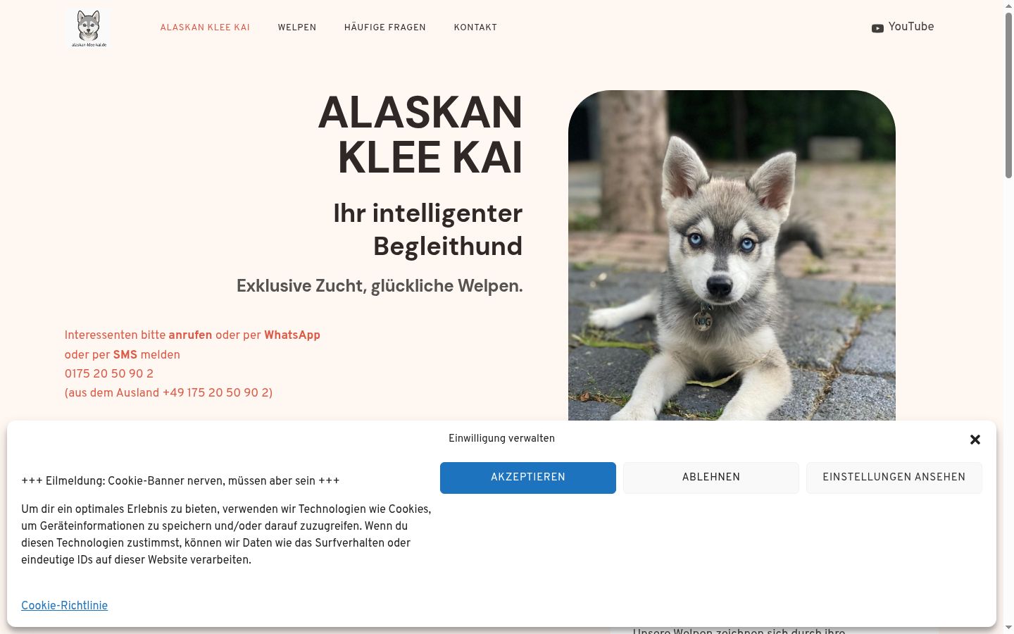 Sutikimo reklamjuostės, rodytos prieš bet kokią sąveiką, ekrano kopija