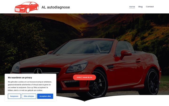 Képernyőkép: alautodiagnose.nl