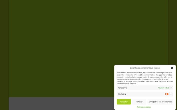 Screenshot of alavolee.fr