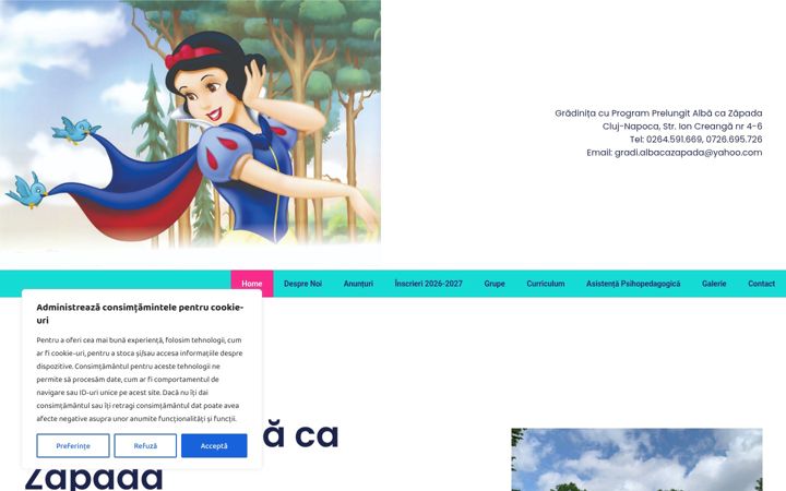 Screenshot of alba-ca-zapada-cluj.ro