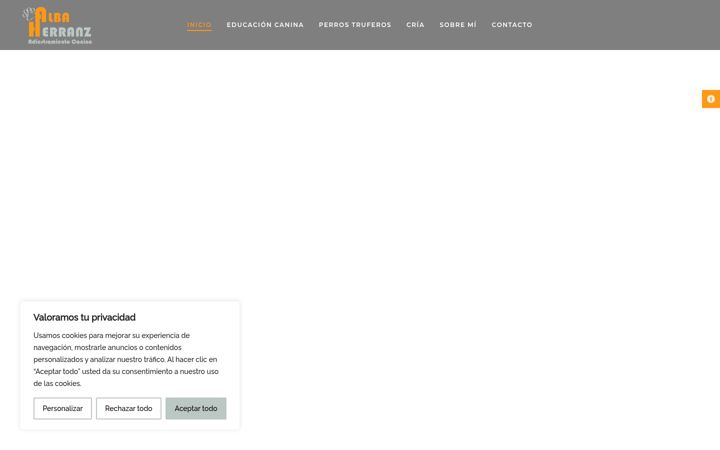 Screenshot of albaherranz.com