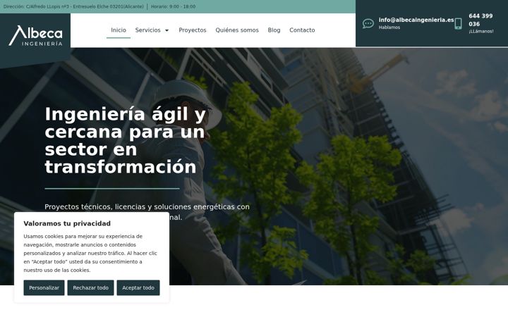 Zrzut ekranu albecaingenieria.es