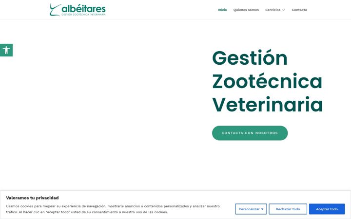 Screenshot of albeitares2005.es