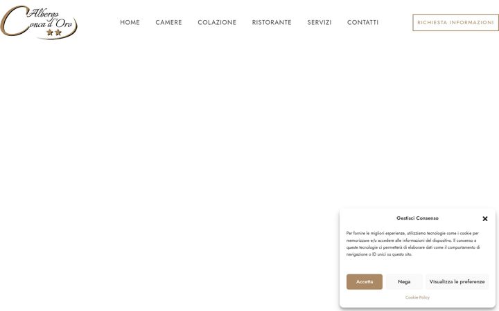 Screenshot of albergoconcadoro.com