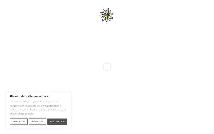 Screenshot of albergoedelweiss.net