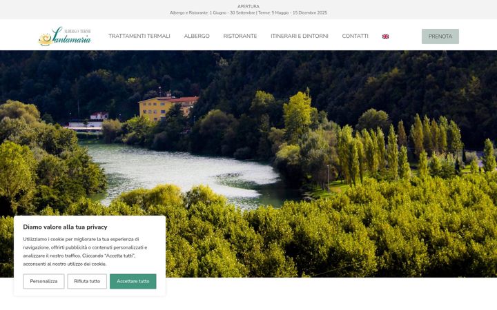 Screenshot of albergotermesantamaria.it