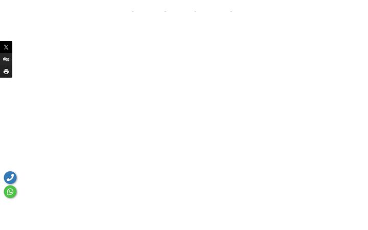 Zrzut ekranu alberhanyapi.com
