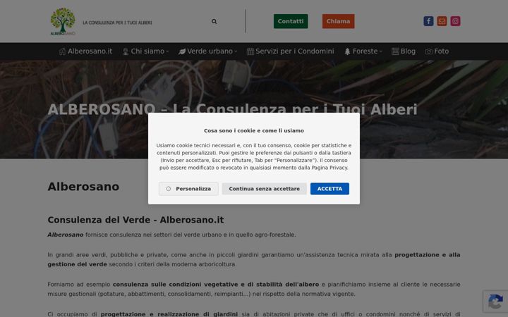 Screenshot of alberosano.it