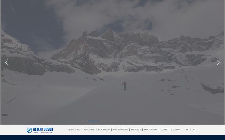 Screenshot of albertbosch.info