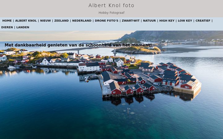 Screenshot of albertknolfoto.com