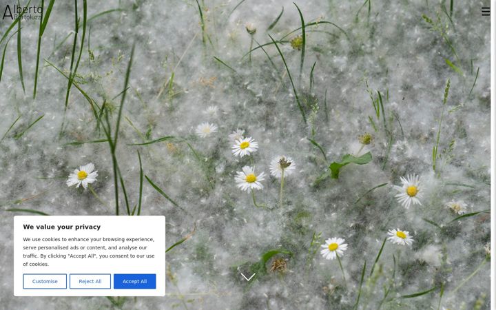 Screenshot of albertobortoluzzi.com
