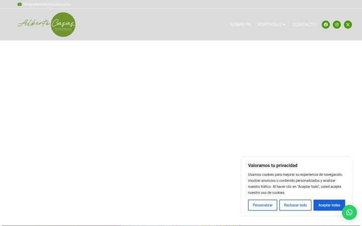 Screenshot of albertocasas.com