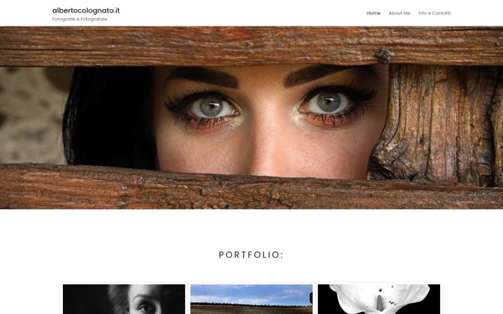 Screenshot of albertocolognato.it