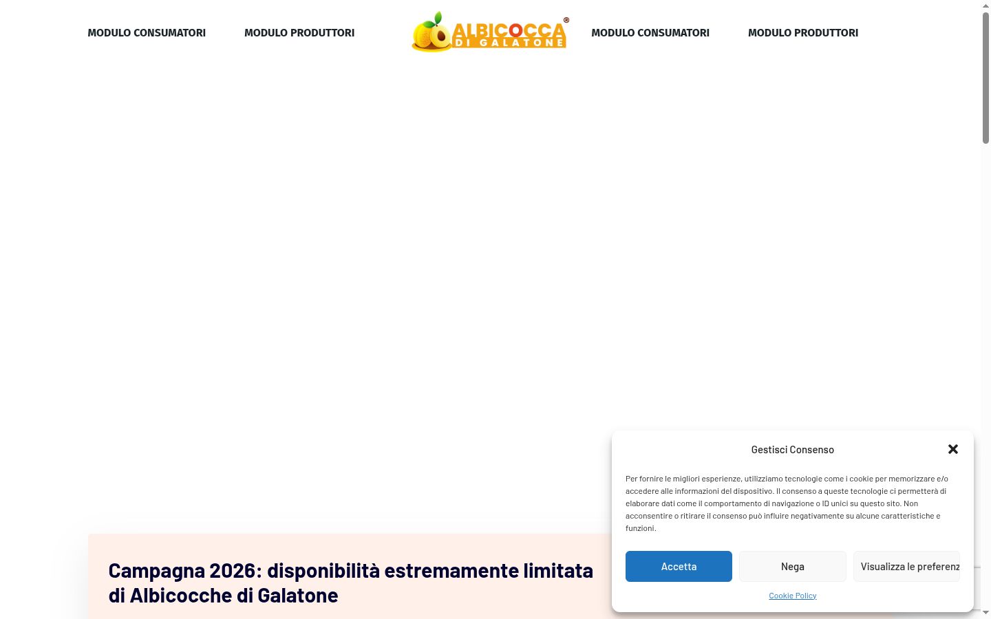 Screenshot des Einwilligungsbanners vor jeglicher Interaktion