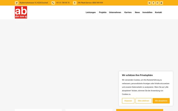 Screenshot of albin-borer-ag.ch