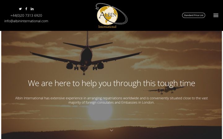 Screenshot of albininternational.com