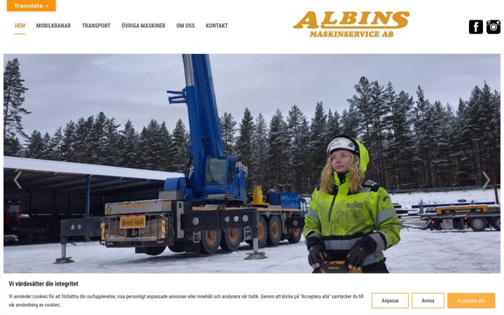 Screenshot ta' albinsmaskin.com