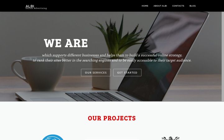 Screenshot of albiresearch.com