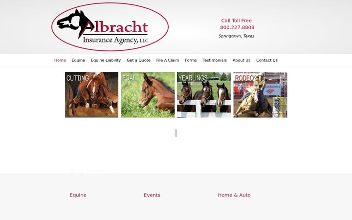 Screenshot ta' albrachtinsurance.com