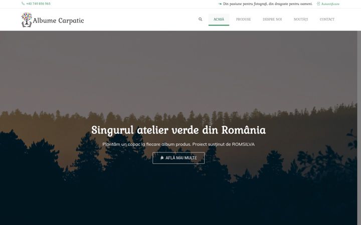 Screenshot of albumecarpatic.ro