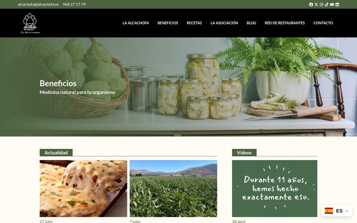 Screenshot di alcachofa.es