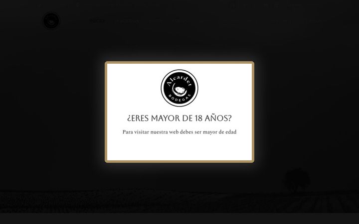 Screenshot of alcardet.com