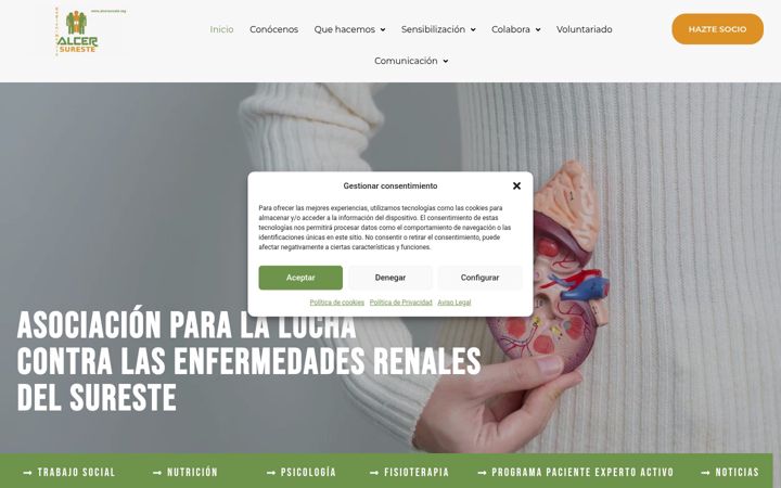 Screenshot of alcersureste.org