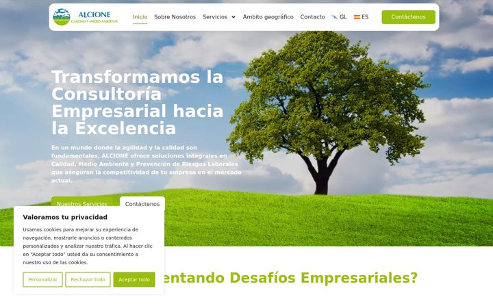 Screenshot of alcione.es