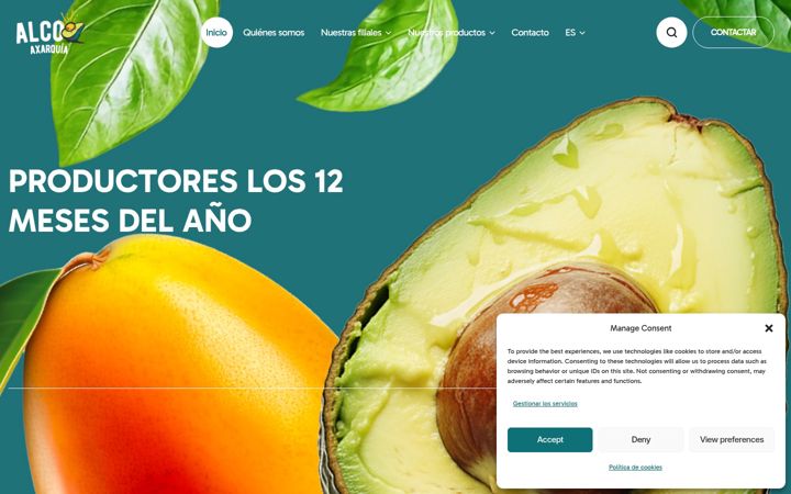 Screenshot of alcoaxarquia.com