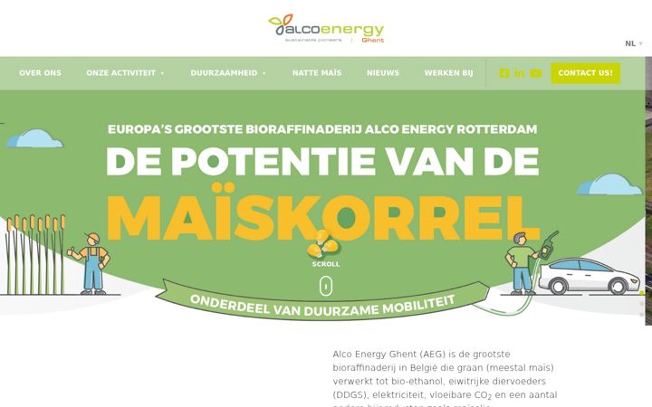 Screenshot of alcoenergyghent.com