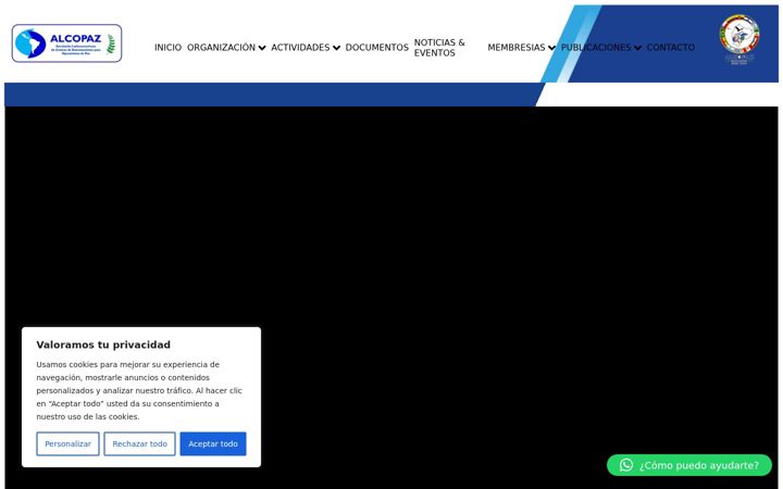 Screenshot of alcopaz.org