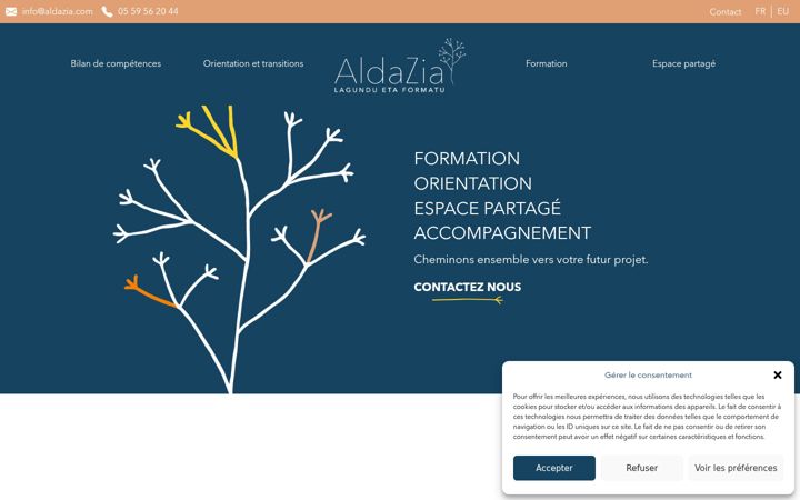 Zrzut ekranu aldazia.com