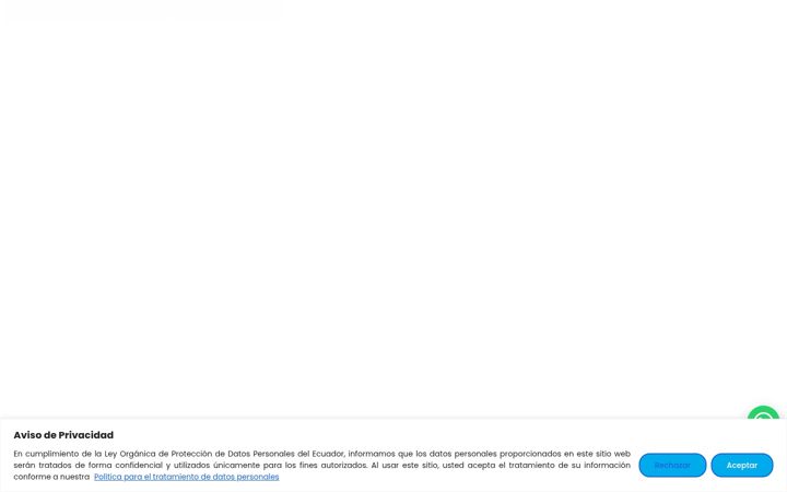 Screenshot of aldeasinfantiles.org.ec