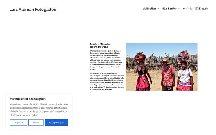 Screenshot of aldmangallery.com