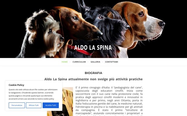 Screenshot of aldolaspina.it