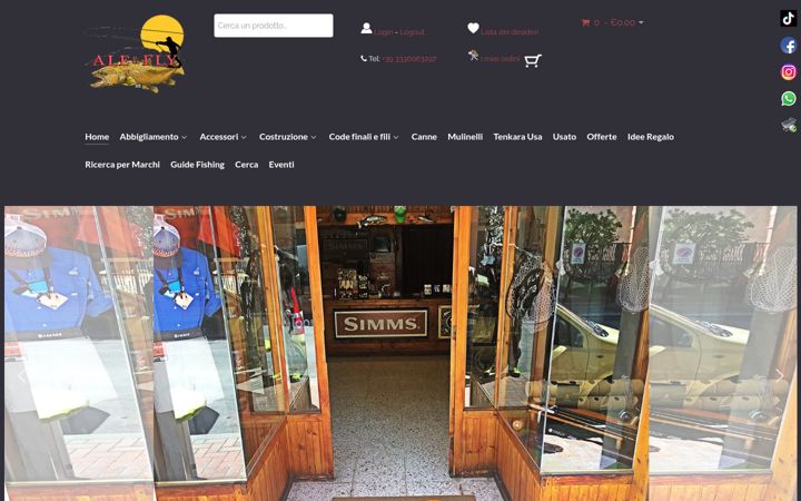 Screenshot of ale-fly.com