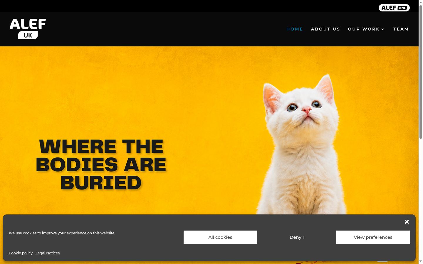 Screenshot of the consent banner shown before any interaction