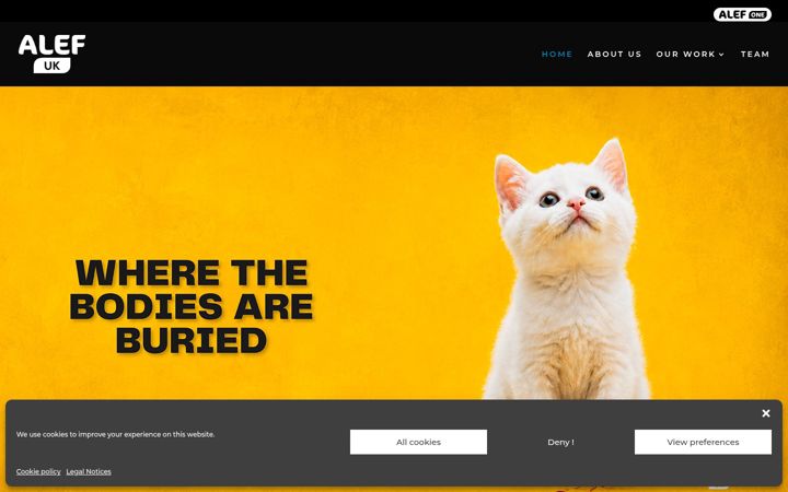 Screenshot of alef-uk.co.uk