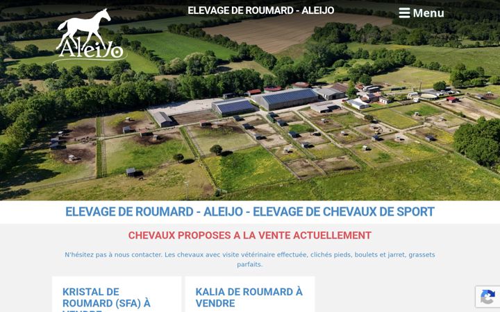 Screenshot of aleijo.com