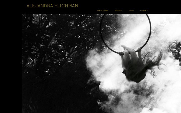 Screenshot of alejandra-flichman.com