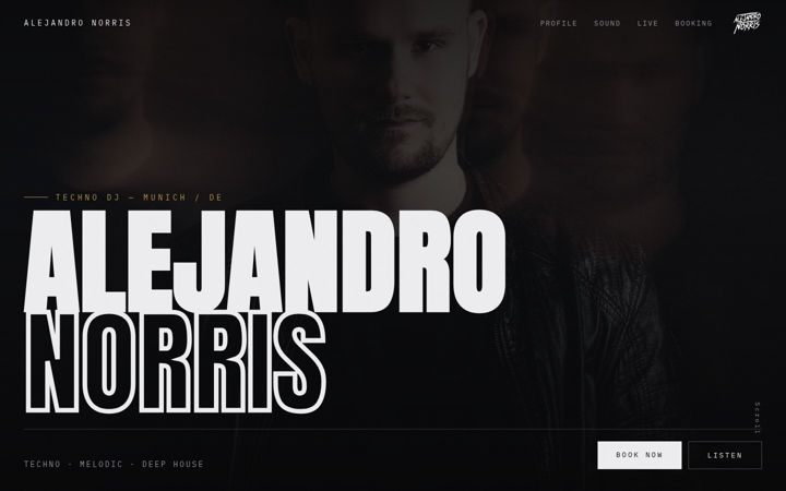Screenshot of alejandronorris.com