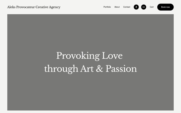 Screenshot of aleksprovocateur.com